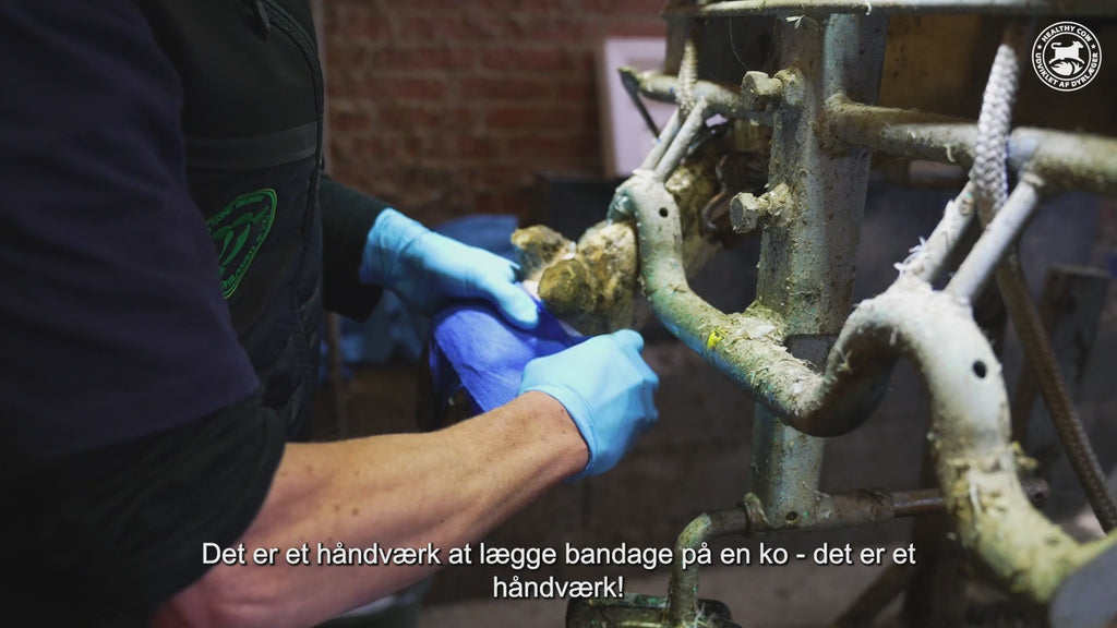 ReCOWery Hoof Paste