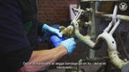 ReCOWery Hoof Paste