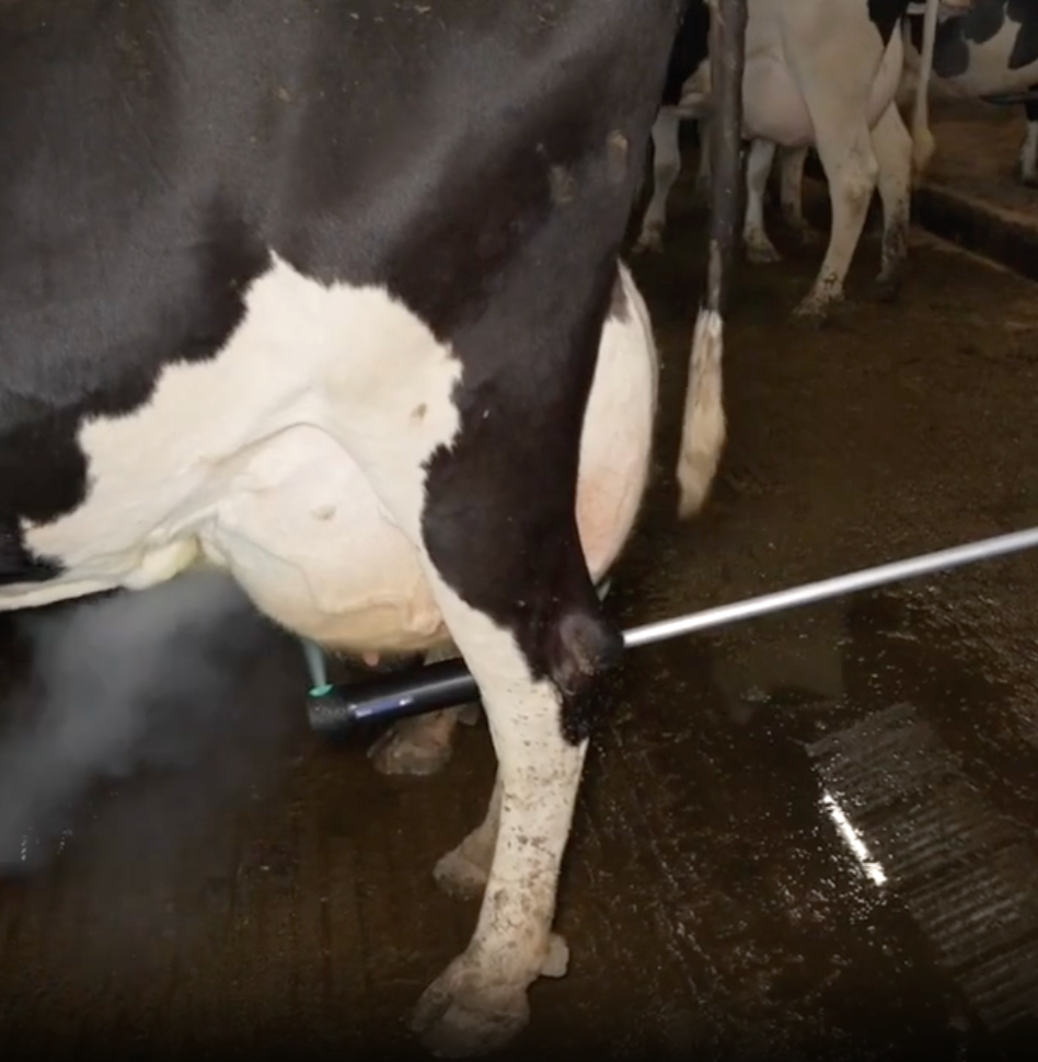 ReCOWery Safe Spray Stangsprøjte